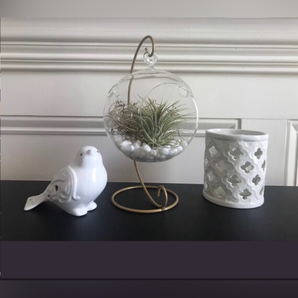 Hanging Glass Globe Terrarium